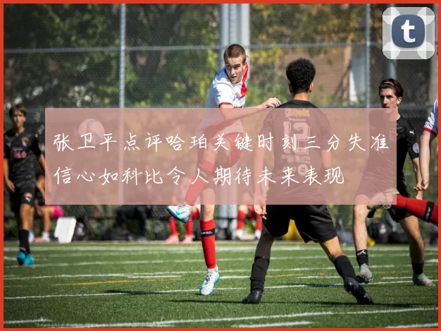 张卫平点评哈珀关键时刻三分失准信心如科比令人期待未来表现
