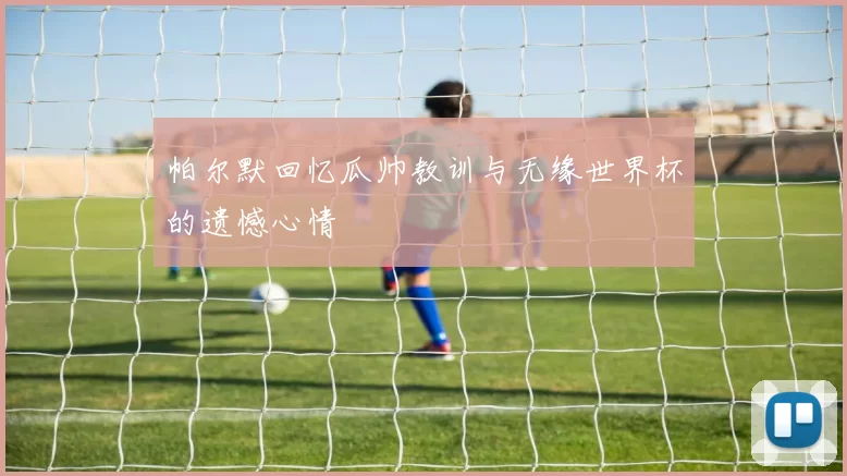 帕尔默回忆瓜帅教训与无缘世界杯的遗憾心情